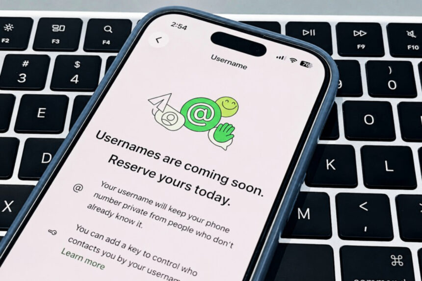 WhatsApp Just Added Usernames and Nigerians Are Already Finding Ways to Misuse It