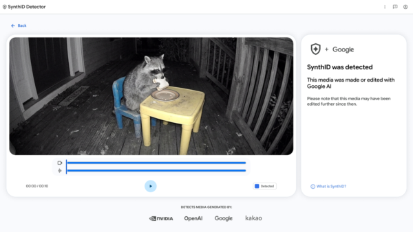 Google's SynthID Detector screen checking a video of a raccoon for an AI watermark